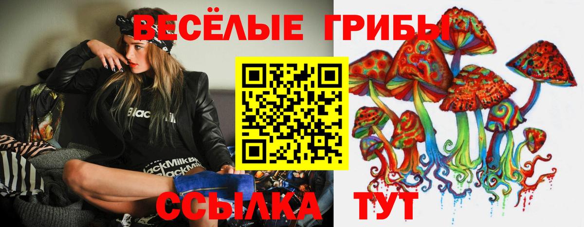 Псилоцибиновые грибы GOLDEN TEACHER Балтийск