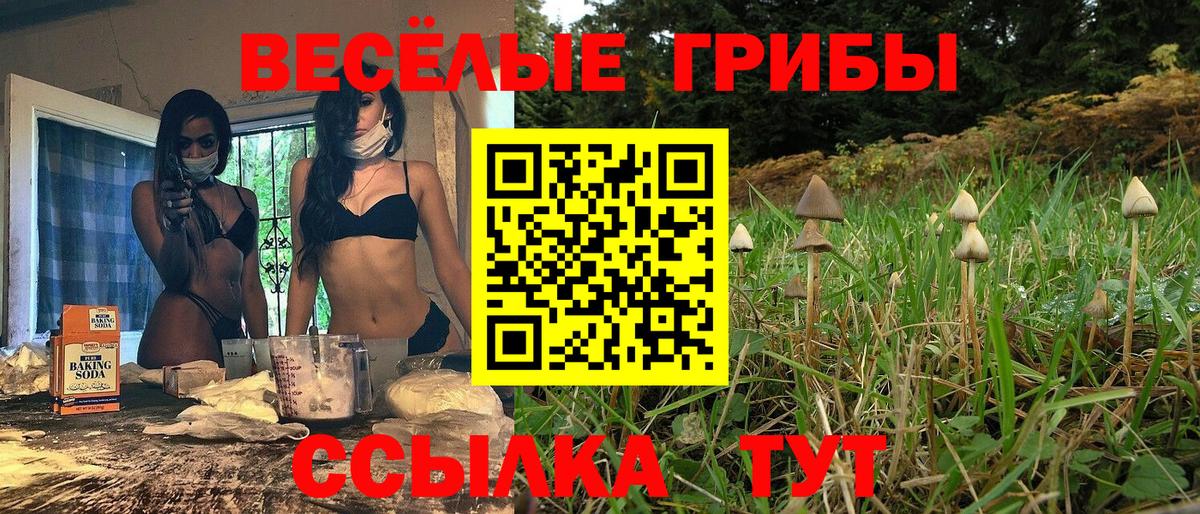 что такое наркотик  Вход с VPN  Балтийск  Псилоцибиновые грибы мицелий 